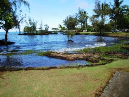 high tide in Hilo